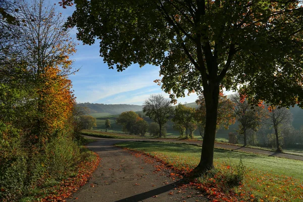 Schöne Herbstlandschaft mit Bäumen und Laub — Stockfoto