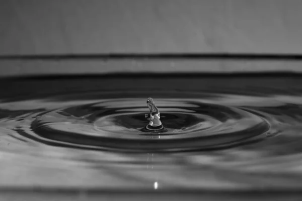 Una Piccola Goccia Acqua Cade Sulla Superficie Dell Acqua — Foto Stock