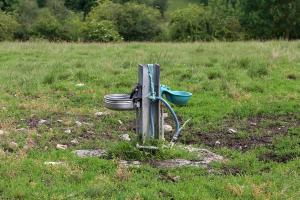 Bebida Automática Depósito Automático Para Ganado — Foto de Stock