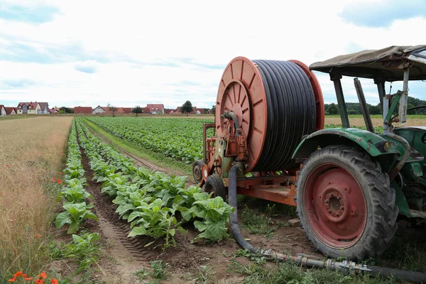 Irrigatie Van Landbouwgrond Het Gebied Van Rijn Palts — Stockfoto