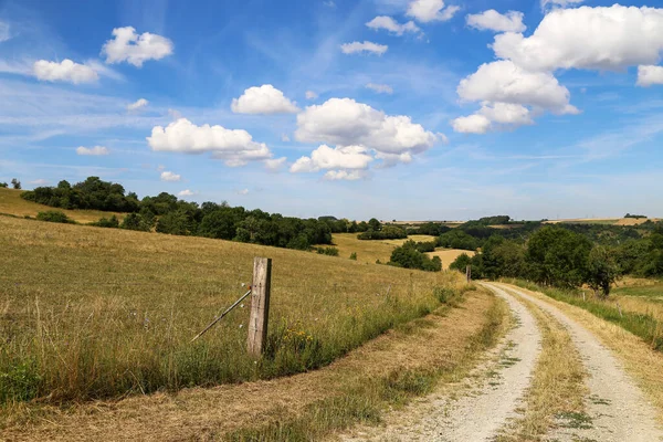 Tarlaları, çayırları ve toprak yolu olan bir manzara..