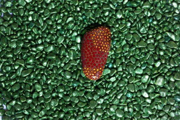 Nádherně Malované Kameny Leží Zelených Kamenech — Stock fotografie