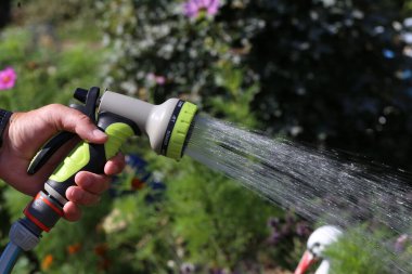 Bahçedeki çiçekleri hortumla sulamak..