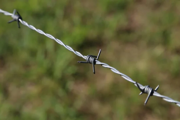 Fragment Von Stacheldraht Auf Grünem Hintergrund — Stockfoto