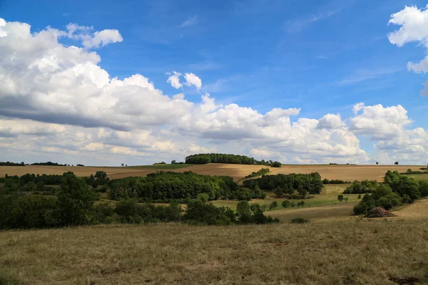 Letni Krajobraz Błękitnym Niebem Białymi Chmurami — Zdjęcie stockowe