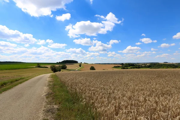 Sommarlandskap Med Blå Himmel Och Vita Moln — Stockfoto