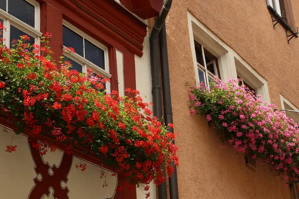 Квітучий Геран Вікнах Балконах Будинків — стокове фото