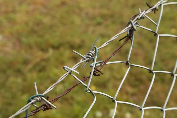 Steel Wire Mesh Fence Garden — Stock Photo, Image