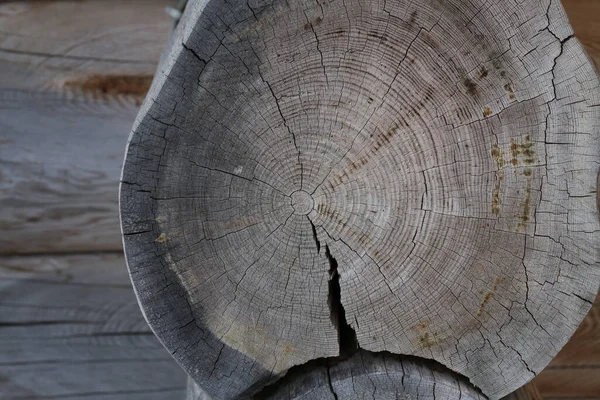 Årliga Ringar Och Sprickor Ett Träd Klippt — Stockfoto