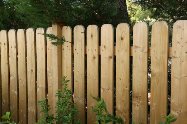 Clôture Jardin Bois Arrière Cour Les Arbres Été — Photo