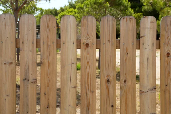 Clôture Jardin Bois Arrière Cour Les Arbres Été — Photo