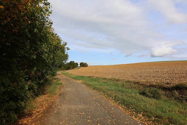 秋天的风景 有收获的田野和多云的天空 — 图库照片