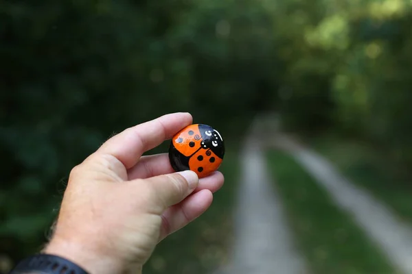 Uma Pedra Pintada Para Caminhadas Deixada Caminho Para Transeuntes Verem — Fotografia de Stock