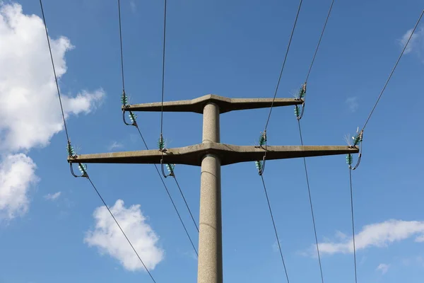 Alberi Trasmissione Potenza Contro Cielo Blu — Foto Stock