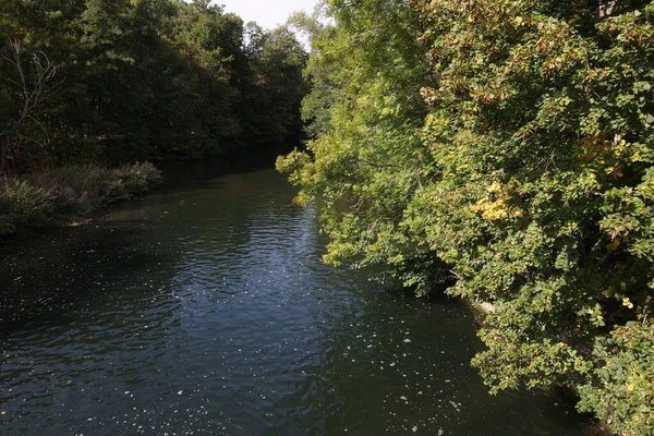 緑の銀行が生い茂る静かな川 — ストック写真