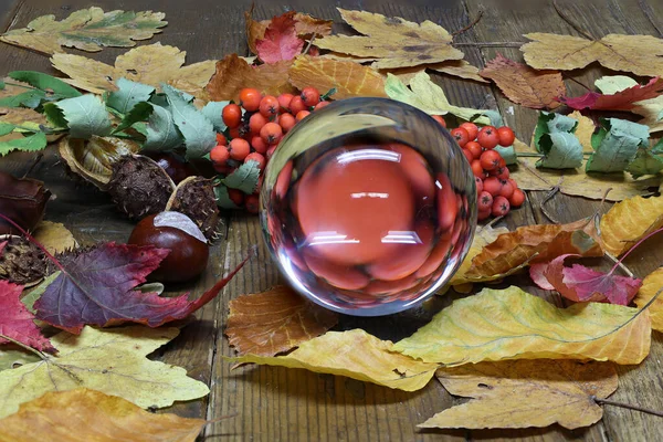 Herfst stilleven met glazen bol, bladeren en bessen — Stockfoto