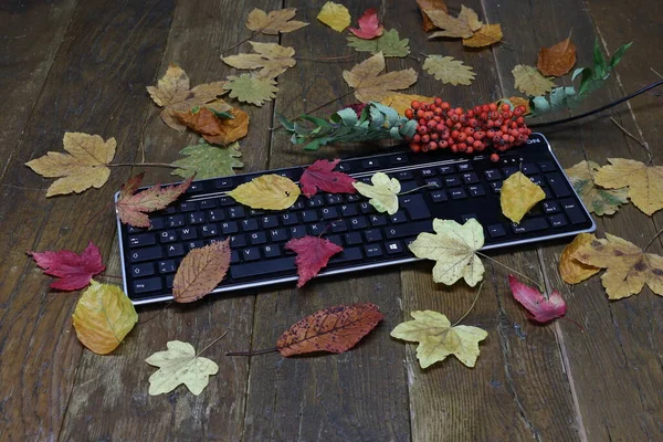 Autumn leaves lie on the computer keyboard — Stock Photo, Image