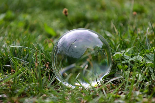 Průhledná skleněná koule leží na louce v trávě — Stock fotografie