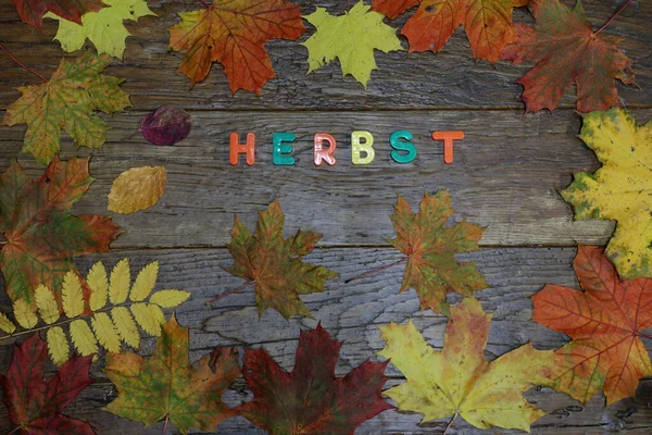 Φθινόπωρο Φόντο Χρωματιστά Φύλλα Ξύλινο Πίνακα Κείμενο Στα Γερμανικά Autumn — Φωτογραφία Αρχείου