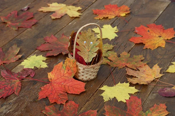 Feuilles Automne Lumineuses Reposent Sur Des Planches Bois — Photo