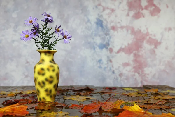 Wunderschönes Herbst Stillleben Lila Blüten Mit Dem Lateinischen Namen Symphyotrichum — Stockfoto