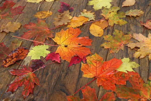 Helles Herbstlaub Liegt Auf Holzbrettern — Stockfoto