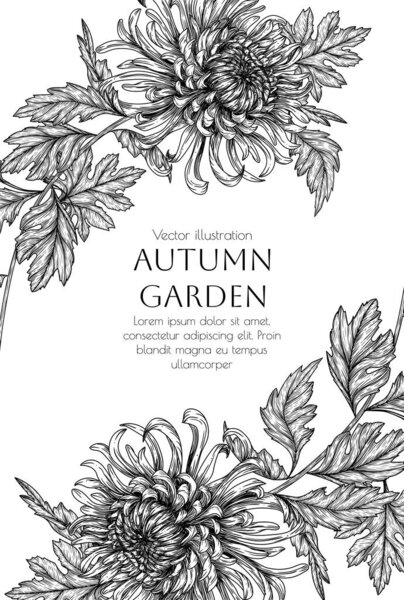  Векторная иллюстрация веревки хризантем. Шаблон приглашения на свадьбу с осенними цветами. Цветущая рамка
