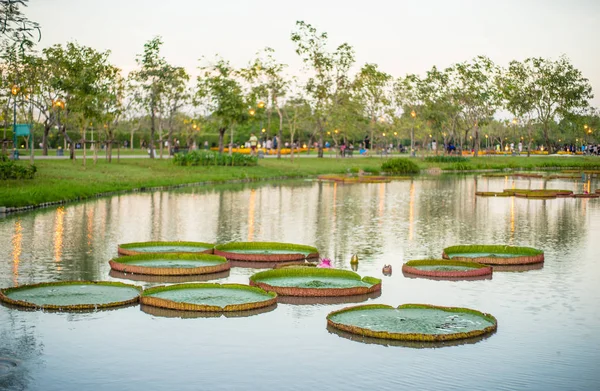 Victoria Nilüfer genel Park