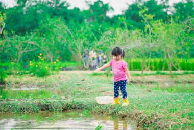 pirinç alanında bitki öğrenme küçük Asyalı kız