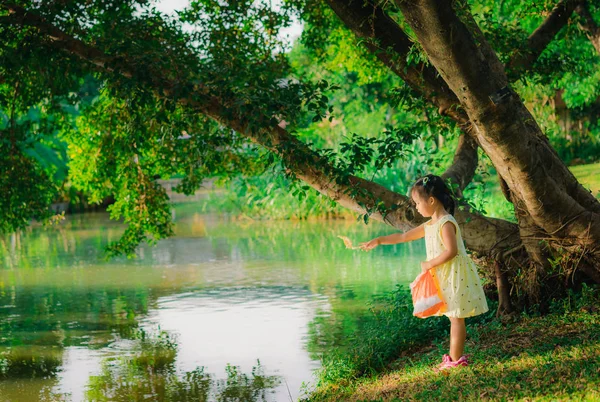 Ein Kleines Mädchen Füttert Fische Teich Öffentlichen Park — Stockfoto