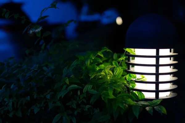 Lanterna estilo retro no caminho com árvore — Fotografia de Stock