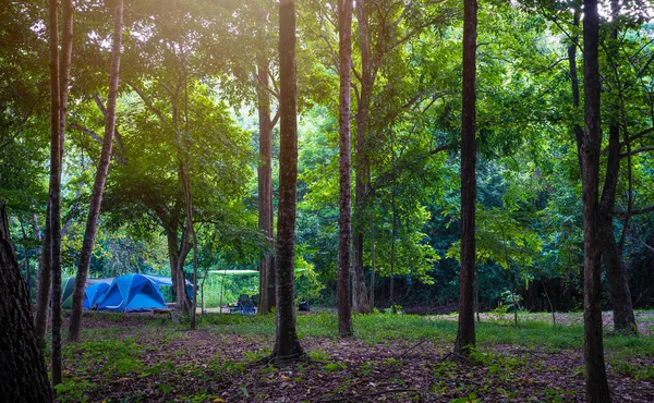 Camping and tent in nature park — Stock Photo, Image