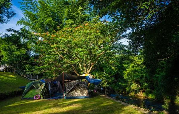 Camping and tent in nature park near the stream — Stock Photo, Image