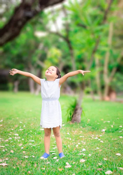 Счастливая симпатичная маленькая девочка, стоящая на поле с открытыми руками. Стоковое Фото