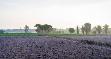 Sabahları ağaçlar ve sisile ilkbaharda tarlayı sürülmüş