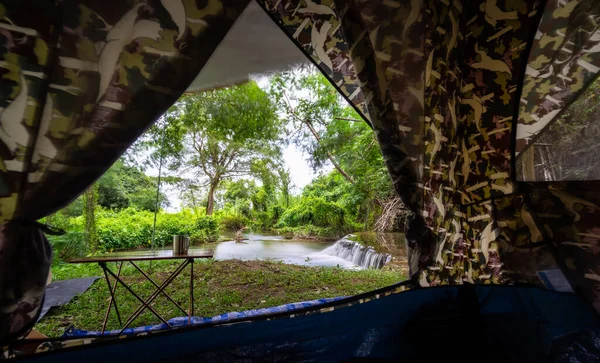 Doğa parkındaki kamp arasındaki çadır kapısının manzarası