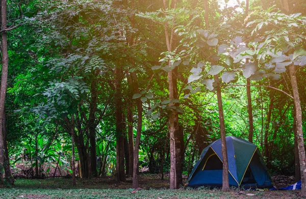 Camping Tent Nature Park — Stock Photo, Image