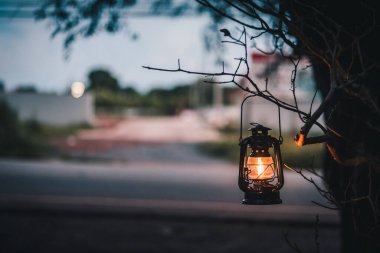 Akşamları ağaçta sallanan eski bir latern.