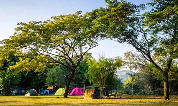 Camping Tent Nature Park Green Trees — Stock Photo, Image