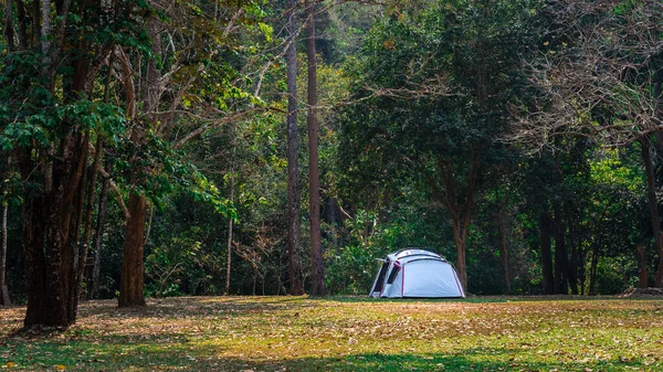 Camping Tent Nature Park — Stock Photo, Image