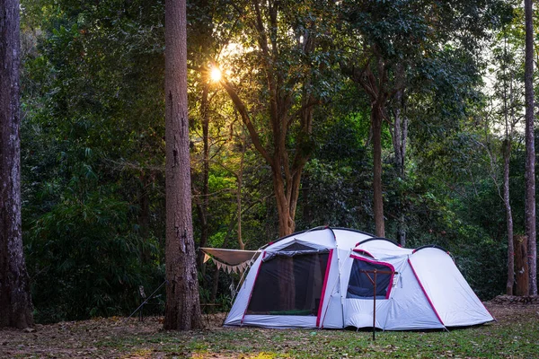 Camping Tent Nature Park Sunset — Stock Photo, Image