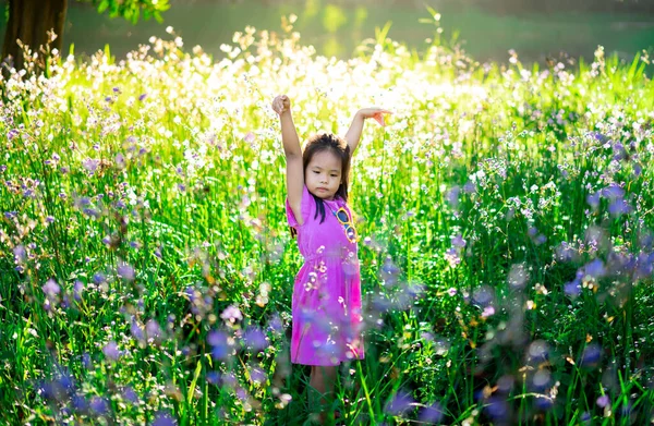 Mutlu küçük Asyalı kız armalı yılan tatlı mor çiçek tarlasında