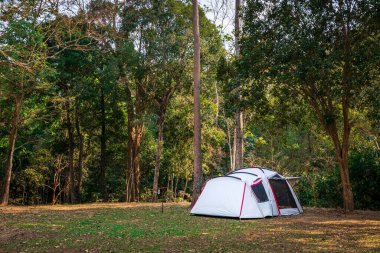 Doğa parkında kamp ve çadır.
