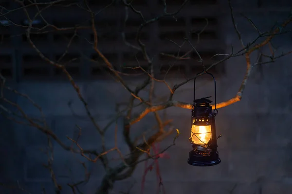 Vintage Latern Wiszące Drzewa Godzinach Wieczornych Obraz Stockowy