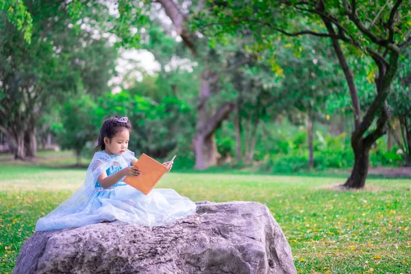 Ein Kleines Süßes Asiatisches Mädchen Prinzessinnenkostüm Liest Park Ein Buch Stockfoto