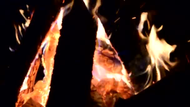 キャンプファイヤー屋外キャンプ火災ビデオ炎 Closeup たき火の夜の背景火自然枝ポリャーナ夜海岸の炎暖かい明るい — ストック動画