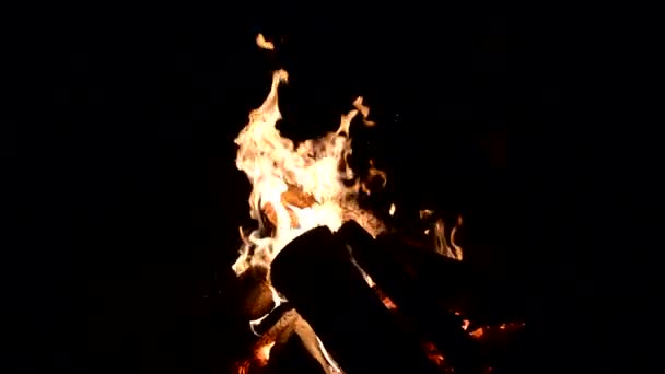Przy Ognisku Odkryty Camping Ogień Płomień Wideo Zbliżenie Tła Bonfire — Wideo stockowe