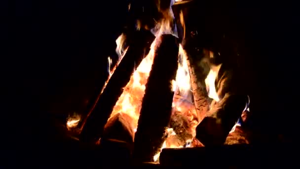 Campfire Outdoor Camping Fire Video Flame Closeup Background Bonfire Night — Stock Video