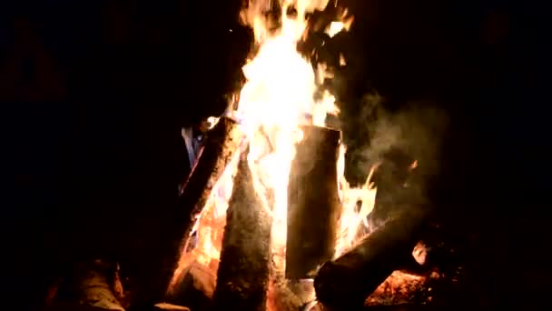 キャンプファイヤー屋外キャンプ火災ビデオ炎 Closeup たき火の夜の背景火自然枝ポリャーナ夜海岸の炎暖かい明るい — ストック動画