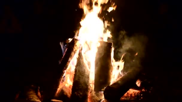 Przy Ognisku Odkryty Camping Ogień Płomień Wideo Zbliżenie Tła Bonfire — Wideo stockowe